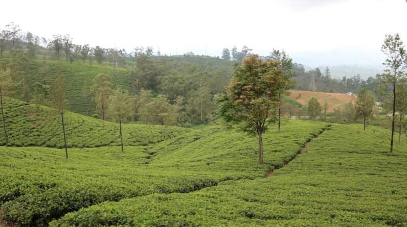 Travelco Leisure Launches New Sri Lanka Ramayana Tour Packages